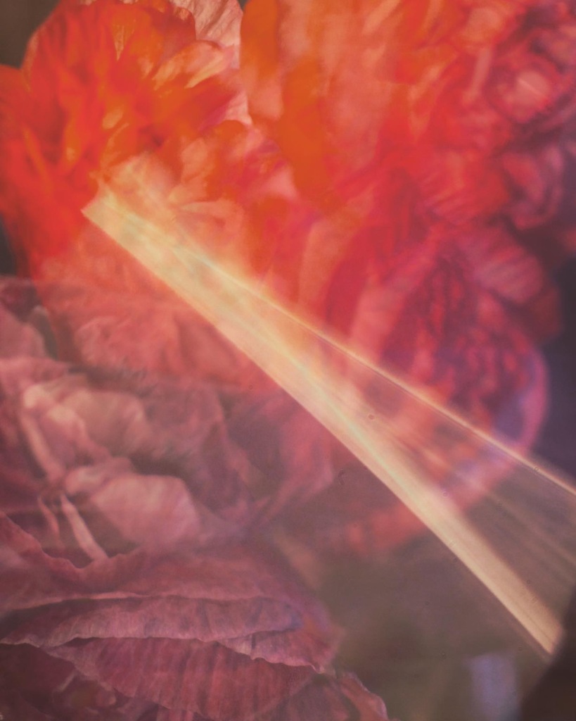 1D4389B1-09F9-4FF8-9BEB-A0A2DE169CA5