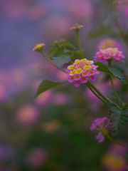 B69AE73C-F896-471E-8E1B-A3A956FBC0F5