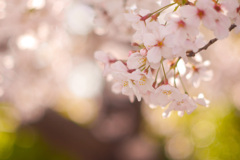 6A3ED539-E762-4D35-ADD9-0A9D6E0E34FD