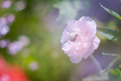 39DF8FE3-1923-4889-8DAB-B19AC5396E83