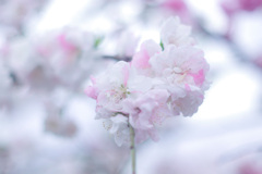 CB0F9B19-DB87-43DE-98D7-45F389C35A40