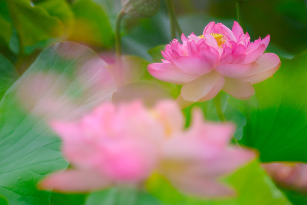 BD290385-33A8-44F2-9FBE-4856D37D7E5A