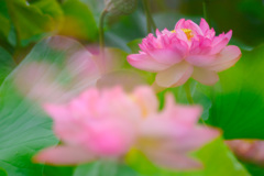 BD290385-33A8-44F2-9FBE-4856D37D7E5A