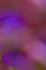 7995A55C-9E3D-4E8F-ADB2-861EAC7D35C2