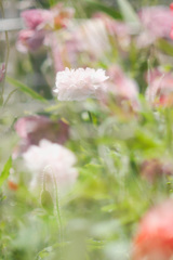 2083A630-1879-4FCA-BF57-712E6A2E95F3