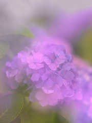 C8614421-6B59-494F-A9CC-A4FA1DB98E71