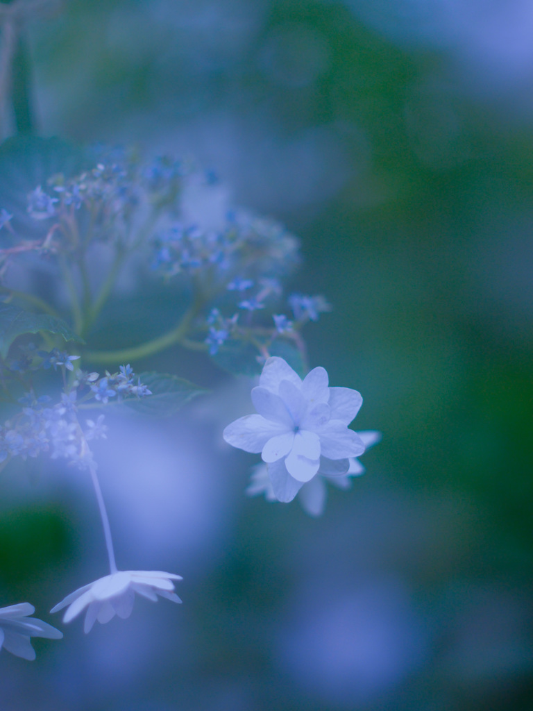 81667B8E-A551-43AB-8C03-40773C366BCD