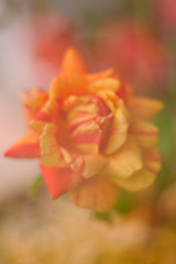 9435F2F2-4C7B-4D79-B9B1-D7D279141F69