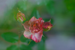 0F9A6317-6592-443E-92E1-92230916F7B7