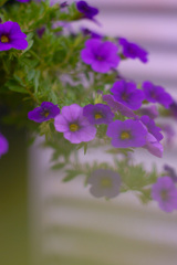 F80A3360-0D1C-4A26-AD1B-4E9A4F826BA1