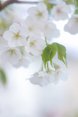 55DAA4FF-B7BA-4F95-AACD-E3AC62B5FA15