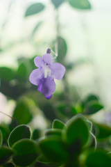 37C1D00C-2C7D-4C4E-B95F-523BEAC1EF29