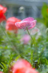 4DF56B20-7168-4EC9-9A6E-02E75B1676E7