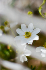 23897C4E-ED7C-4DC2-9A6C-D9B4DE19E65B