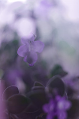 BFC8DA4E-4E27-4B88-9EEB-70DBA4E8ADD5