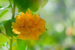 70AAF958-A83A-46E1-B8F3-87BBEAE427A2