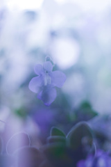 11AA3274-EFA3-4AB7-8545-6BCFDB2FEBCB