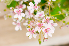 EA5D706D-86DE-4B26-B5BA-566818B01814