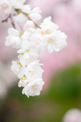 01F275CB-D604-4A31-A363-418EDA26EFF1