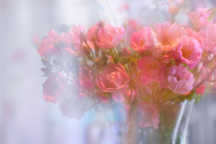 3F1F2697-D304-41DA-8D3E-156741487A06