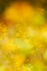 3B9E819B-40DD-4389-AD0B-10985C9A85E1