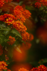 131B6FC9-5AFB-437B-8AE0-42FF006DD2FE