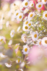 1A0A8A89-46C2-45E1-BE59-823FD2A12D75