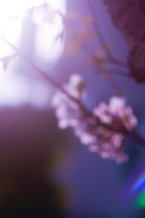 89F14FC8-9A65-4FC1-8262-3A85CF1E6F65