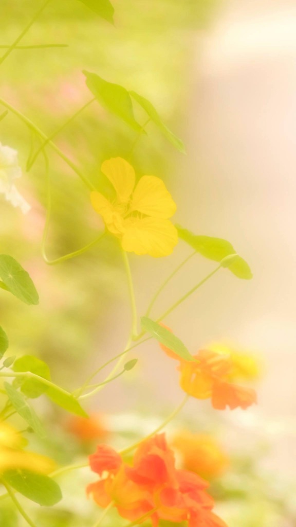 C3D714EA-B78A-47C7-A6C8-3E1F4A899097