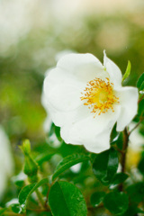 1909EE54-75FF-40D8-A195-6AE8D8F57838