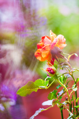 9986B370-7B6C-47BE-A3A6-2E86337FFA73