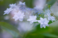 AF98BA71-7B00-4BB5-9A99-96177855E0D5