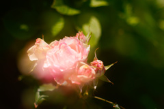 03073E92-1DA4-4A58-92EC-F25462441EC7