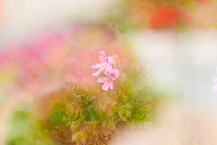 FF2B473E-2E06-4328-B889-2A460C69524F