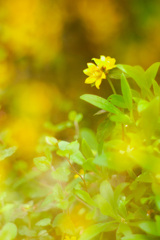 FD7A6DF3-65F5-44ED-BC63-CC5F7AD34692