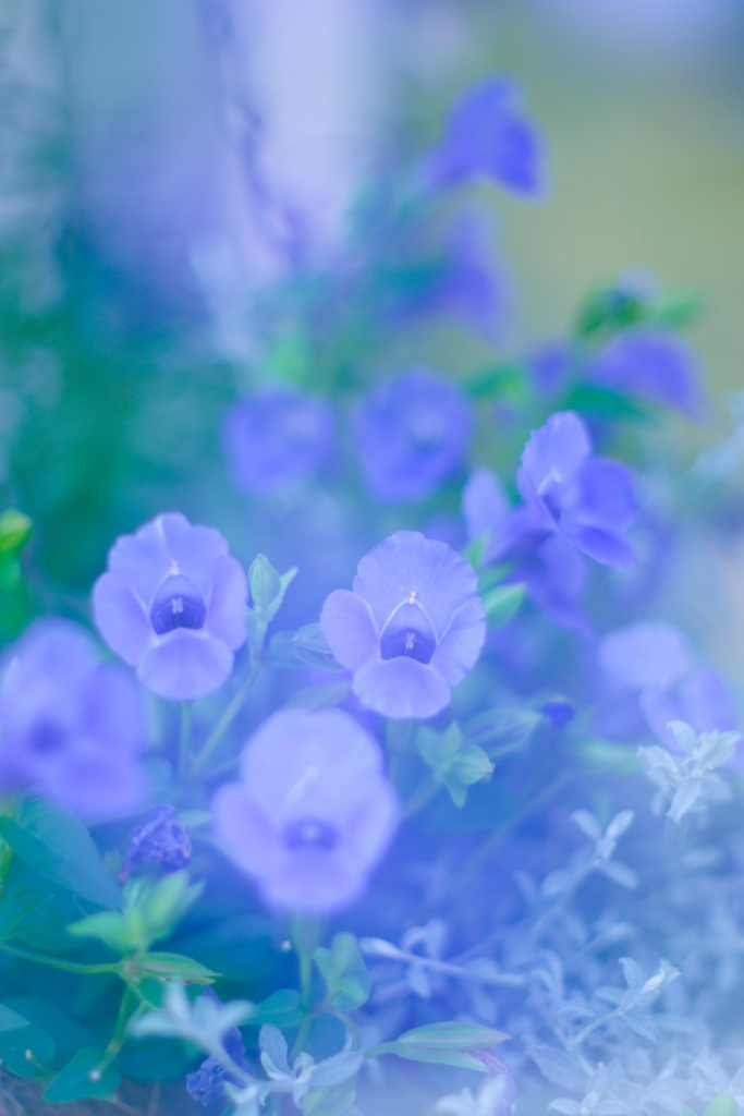 F2D8C921-CBF8-45D3-B0C2-18555B10D6B2