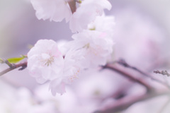 4C1B61F3-4130-4672-9E26-FC4529EA2624