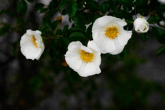 54553B6F-16D8-412E-9918-54DFFBAEAD5F