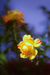 941A71D1-E474-4B35-B7F1-40DAA604CBC0