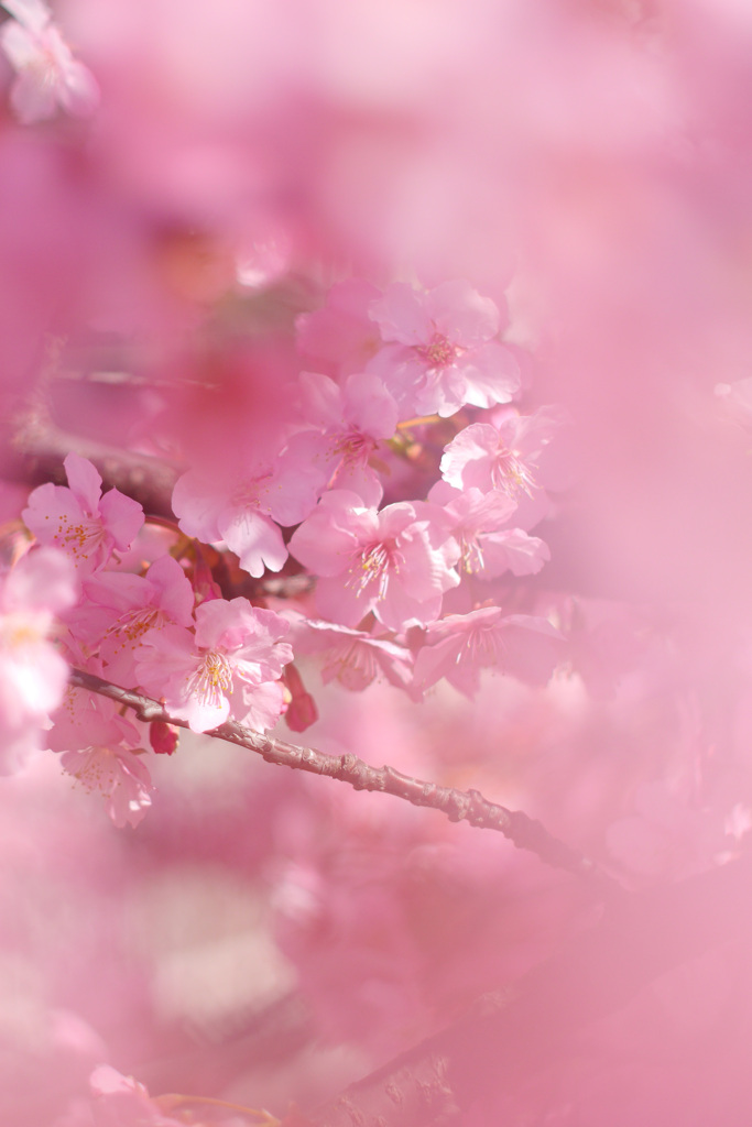 33C68526-9694-44A1-BABF-04769738FDEA