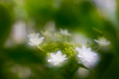 E89E2CC5-AD5E-422C-B659-055F1CFFC704