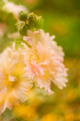 06046C4B-5F47-4A8B-B0D7-EDE8DA9DE7D2