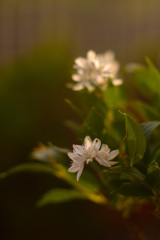 324133DF-D1AD-441B-A0B3-44D87D56F0B0