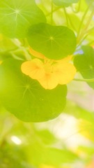 158EBCF6-B700-49AA-BD45-D5139BB04D7C