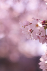 D07657A5-0214-4577-A6E1-F971A3C724AE