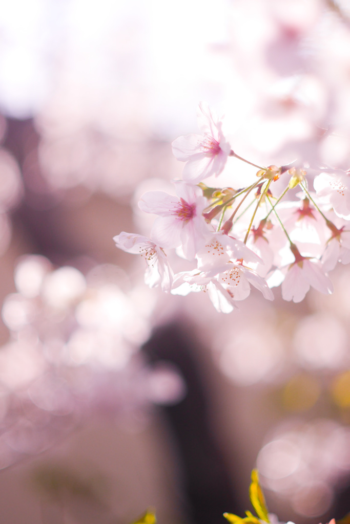 5879DE66-038E-4385-96E3-5232EF758BA9