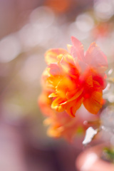 6F54BCC6-A816-4ACA-BF1F-D9649D36A212