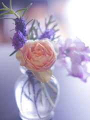 0403CC28-AB44-40BE-BFB5-7D2C16032E96