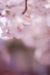 0FCC0FF6-EB78-4399-9BEF-FC9AC34DF847