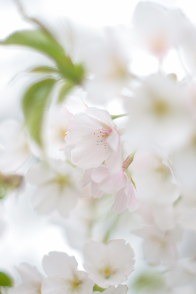 DD66F209-F196-4FBE-A49F-D2CA85D96A08